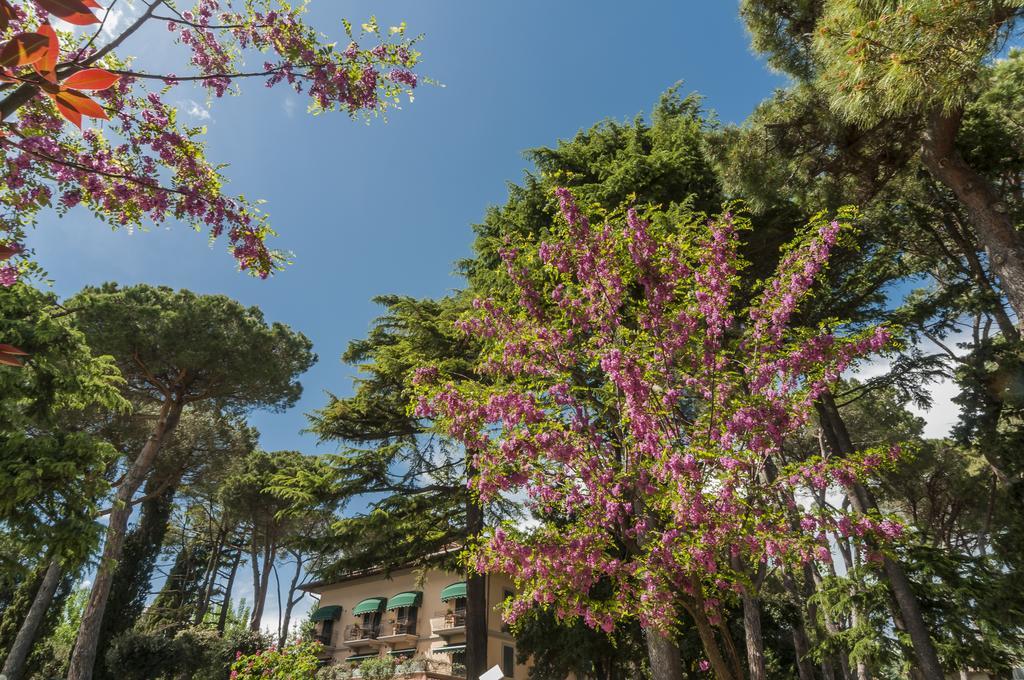 Hotel Kursaal Passignano sul Trasimeno Zewnętrze zdjęcie